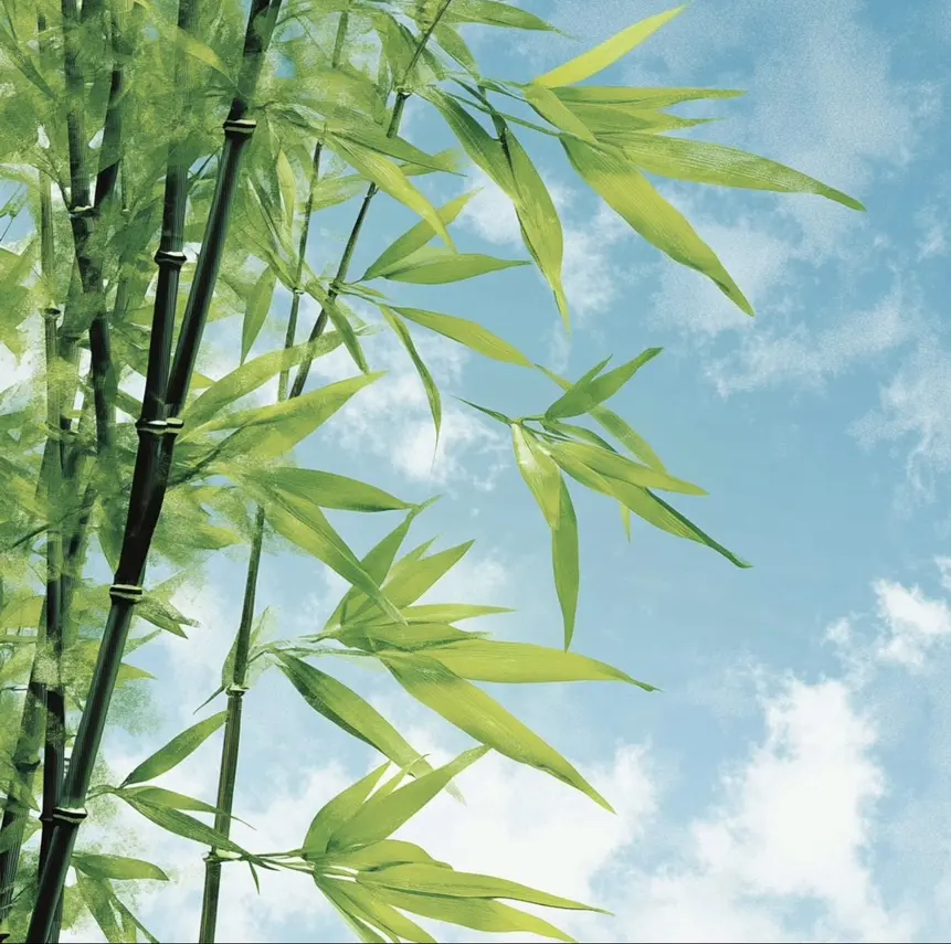 检察官室的提案txt百度云资源 - 免费下载TXT全集