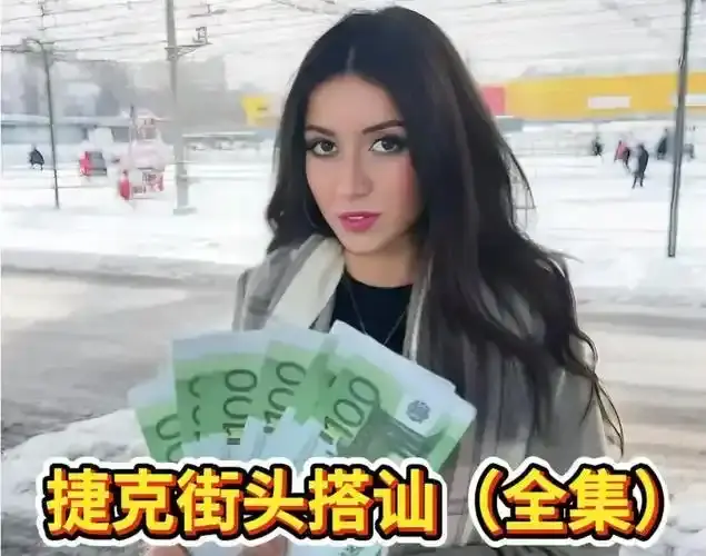 《捷克街头系列》2026无删减版1080P超清全300集-免费在线-《捷克街头系列》HD中字完整版无广告