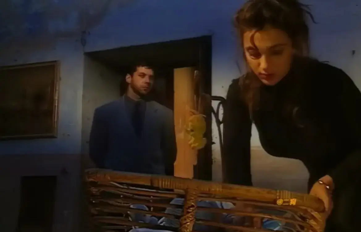 赛伦Selen《Sceneggiata Napoletana（1994）》1994意大利啄木鸟系列-《Sceneggiata Napoletana（1994）》高清全集在线观看
