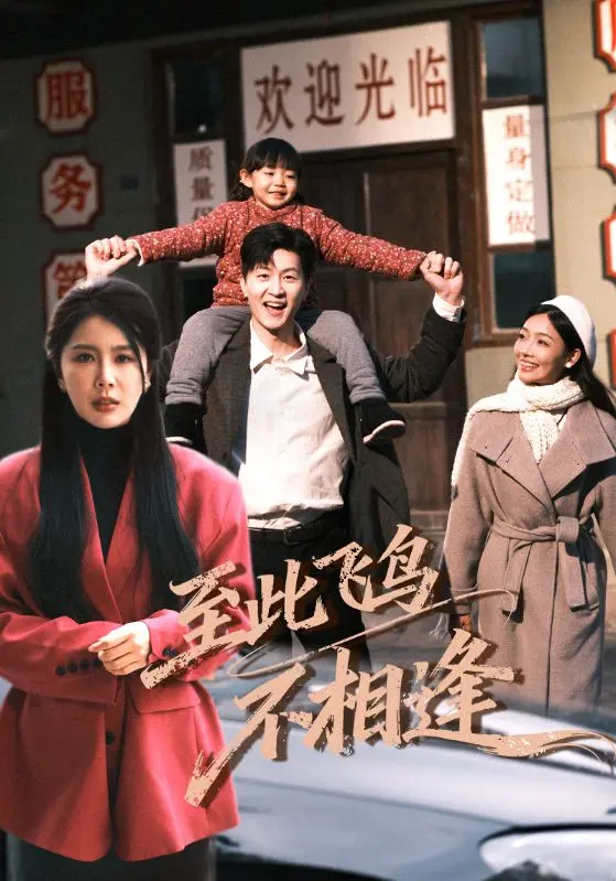 《至此飞鸟不相逢》全70集完整版在线看-丁海霞王鹏主演无删减-4K超清迅雷夸克网盘下载