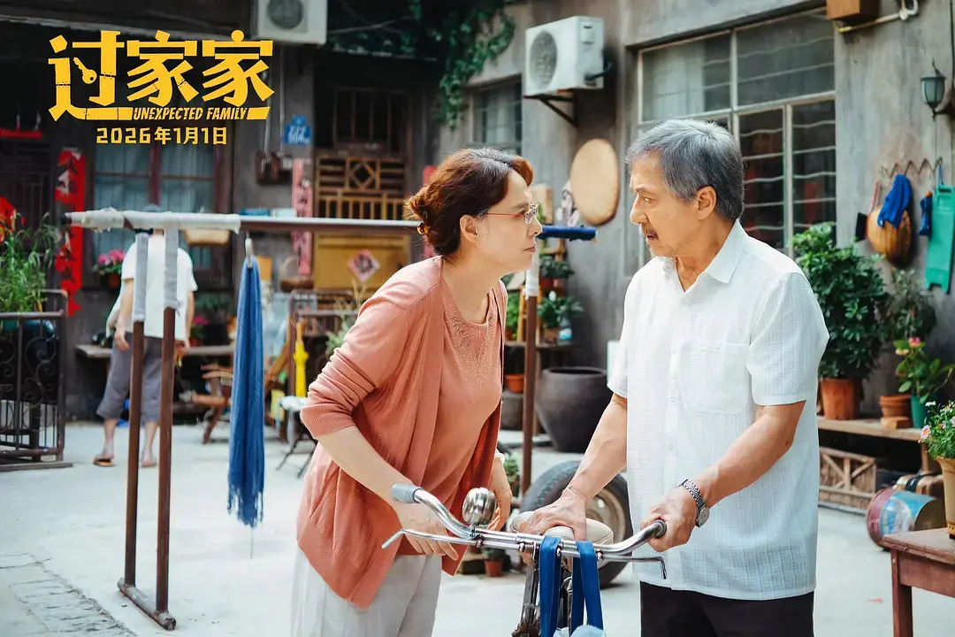 2026最新《过家家》免费高清在线观看-手机在线播放全集-国剧久播影院《过家家》完整版资源免费看-VS影院