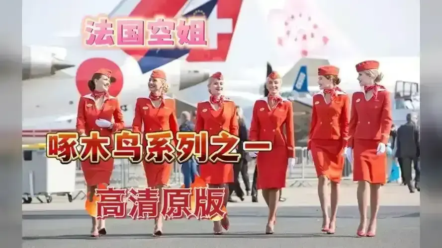 《法国空姐》三季全集（2017-2023）4K超高清无删减_法语原音法剧-免费观看《法国空姐》蓝光资源同步上线