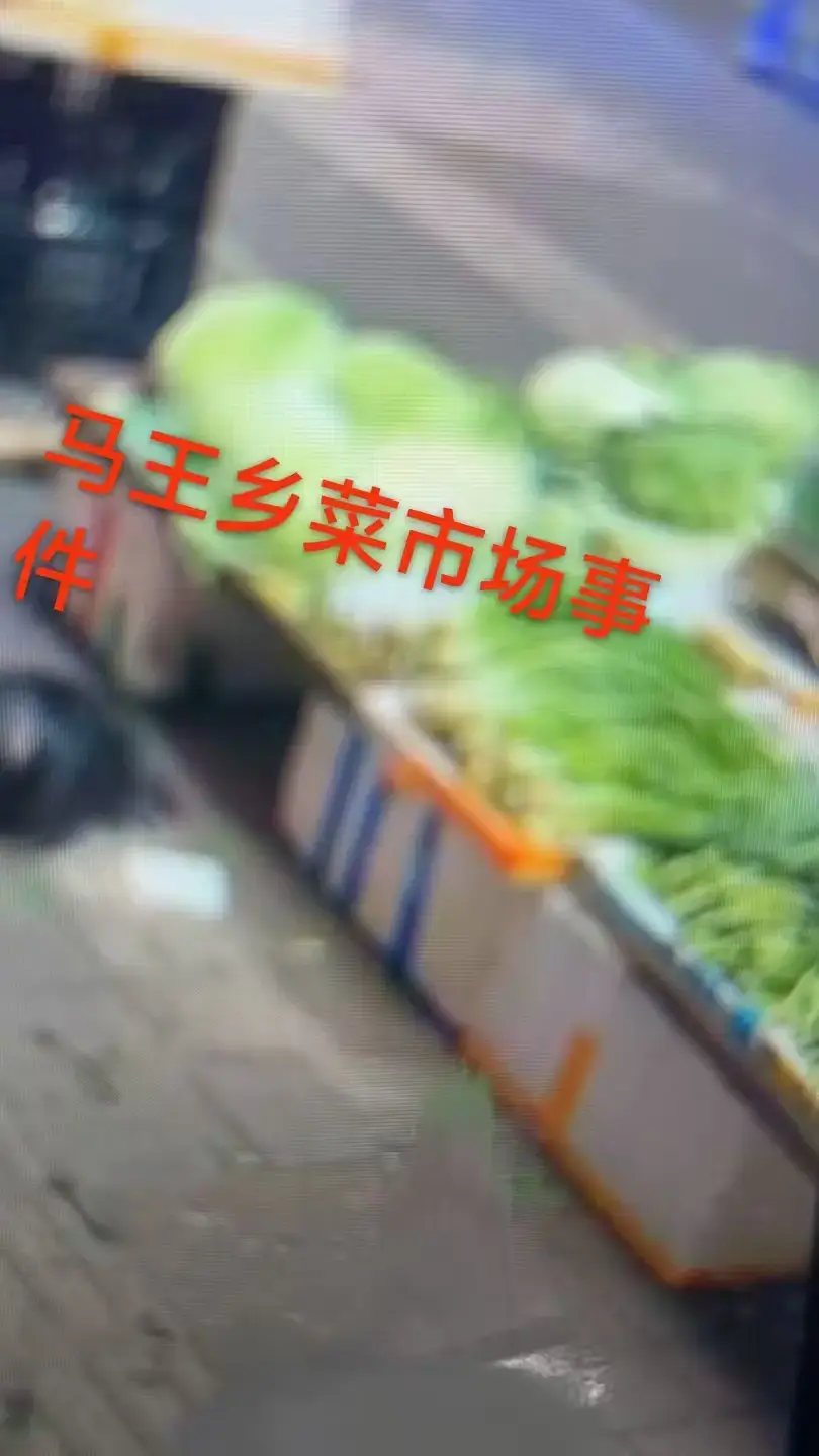 《重庆马王乡菜市场事件》完整版一手视频来袭！HD高清播放无卡顿，附关键节点时间标记，持续有效！