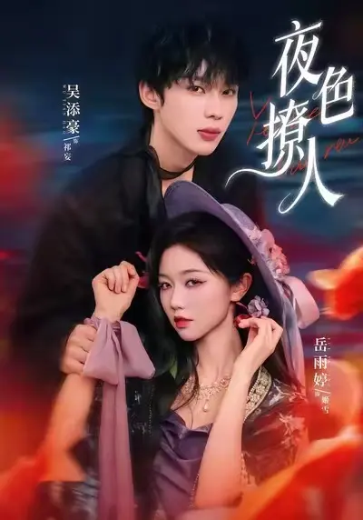《夜色撩人》相关资源图片