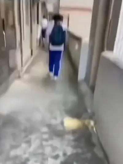 《大昌市第七中学》教室走廊现诡异身影，4K高清免费看，同步分享大昌七中绝密调查档案，点击即看！