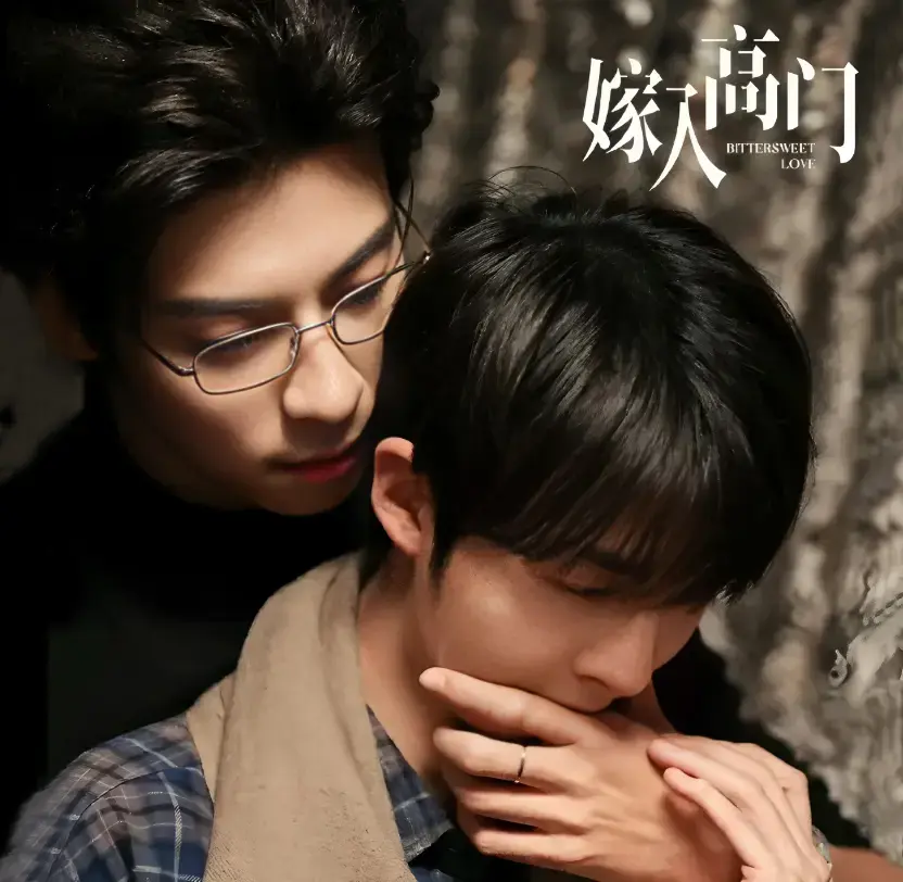 《嫁入高门的男人》双男主爱情剧免费在线观看，HD高清画质无广告，2026环大陆剧《嫁入高门的男人》全集畅享-星辰影院
