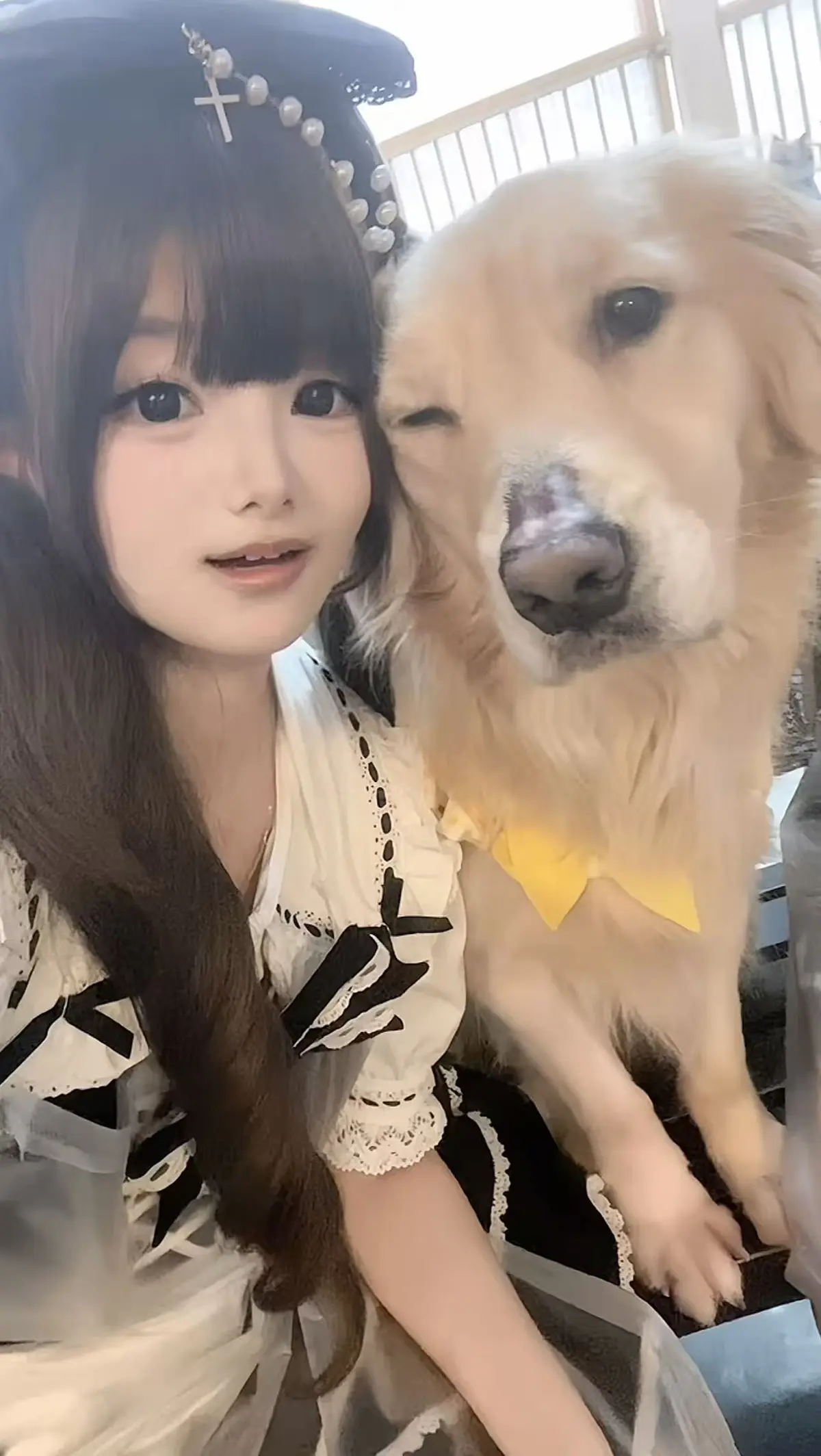 《金毛小蛋糕海鲜事件》-香香公主与金毛-无删减版短剧在线播放-全视频免费高清观看