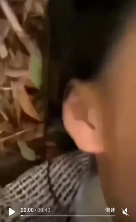 《女轻奢事件》来袭，聚焦轻奢事件，有双人大战精彩片段，校园轻奢男孩故事，轻奢二人组全流程视频免费高清播放！