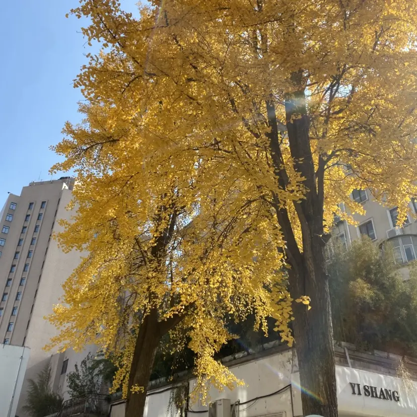 浪漫感官典藏合集-silk_labo系列1080P中字-女性向HD无删减-百度网盘独家高清全集-浪漫感官典藏合集